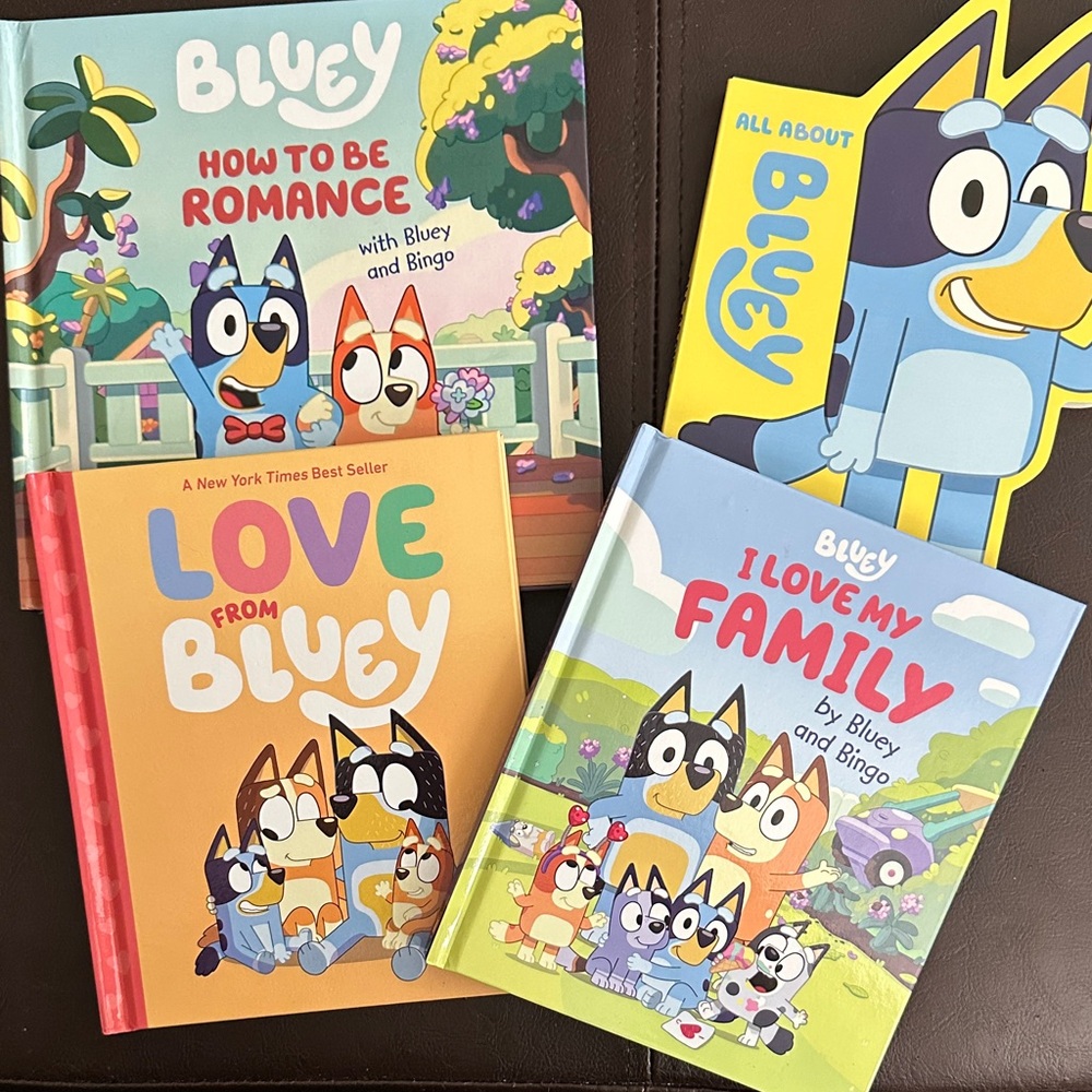 Bluey Book Bundle, set of 4 New Bluey Books